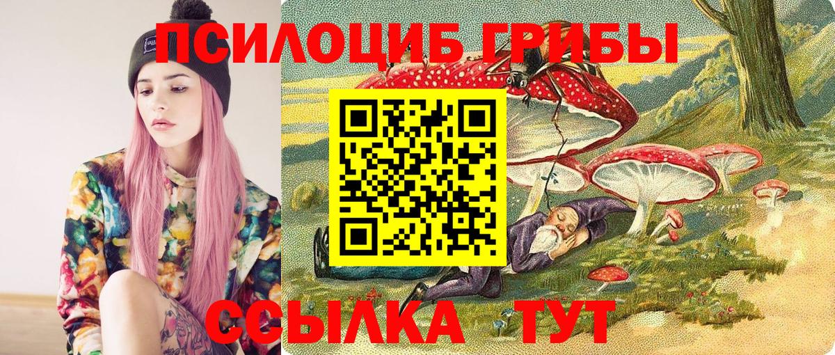 Псилоцибиновые грибы Psilocybe Кингисепп