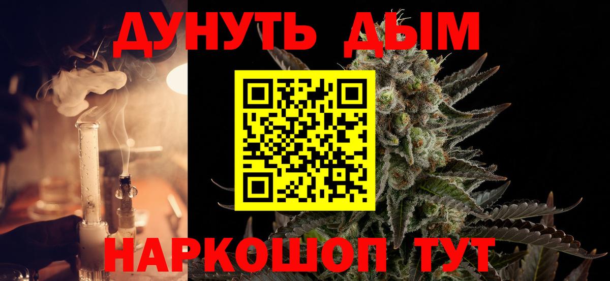 Конопля конопля Кингисепп