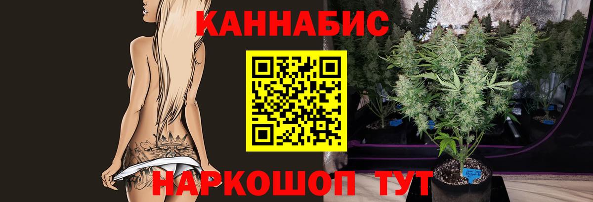 Кингисепп  Шишки марихуана VHQ  Канабис семена  Вход с VPN 